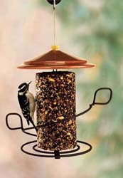 Holscher Decorative Seed Cylinder Feeder