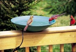 WBU Heated Birdbath